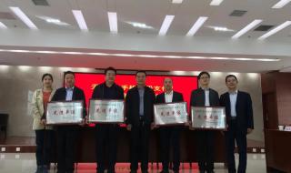 农信银中心成立于2010年几月几日 农信银资金清算中心