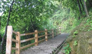 凤凰山森林公园进门要门票吗 广州凤凰山森林公园