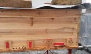 双王群工蜂互通好不好 中蜂双王群