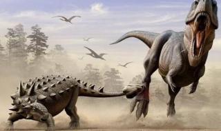 小霸王游戏机珍藏84合1坦克大战的如何调多条命 小霸王超级坦克大战