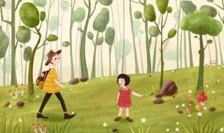 神奇的探险之旅