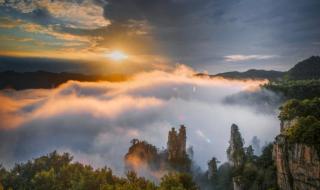 洛阳五一适合带孩子去旅游的地方 五一适合去哪里旅游