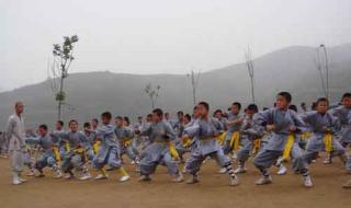 嵩山少林寺武术学院