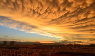 乳状云是什么的预兆