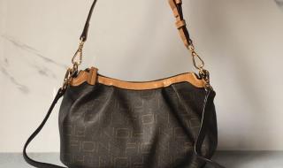 菲安妮是哪个国家的 fion菲安妮