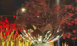 沈阳五里河灯光秀表演时间 沈阳成都上演灯光秀