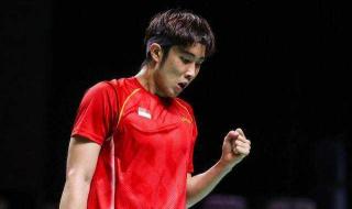 2014羽毛球世锦赛男单决赛 2017羽毛球世锦赛林丹安赛龙决赛时间